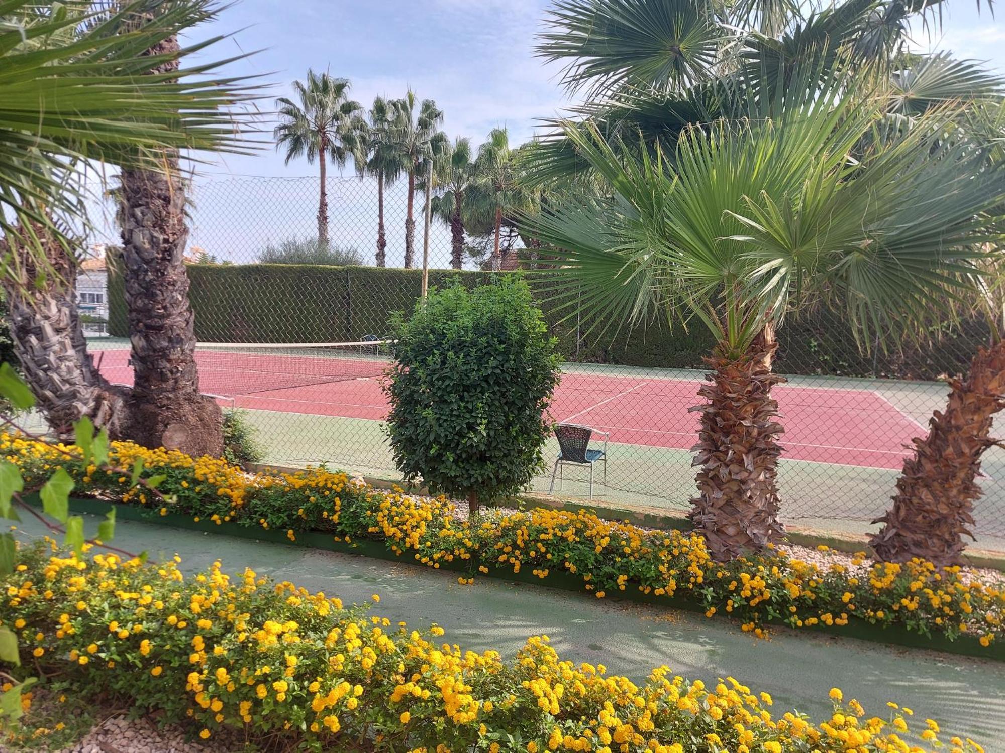 Bebi Casa Apartment Torrevieja Exteriör bild